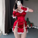 لانجري تنكري سانتا