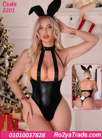 لانجري سلوبت كود 2201